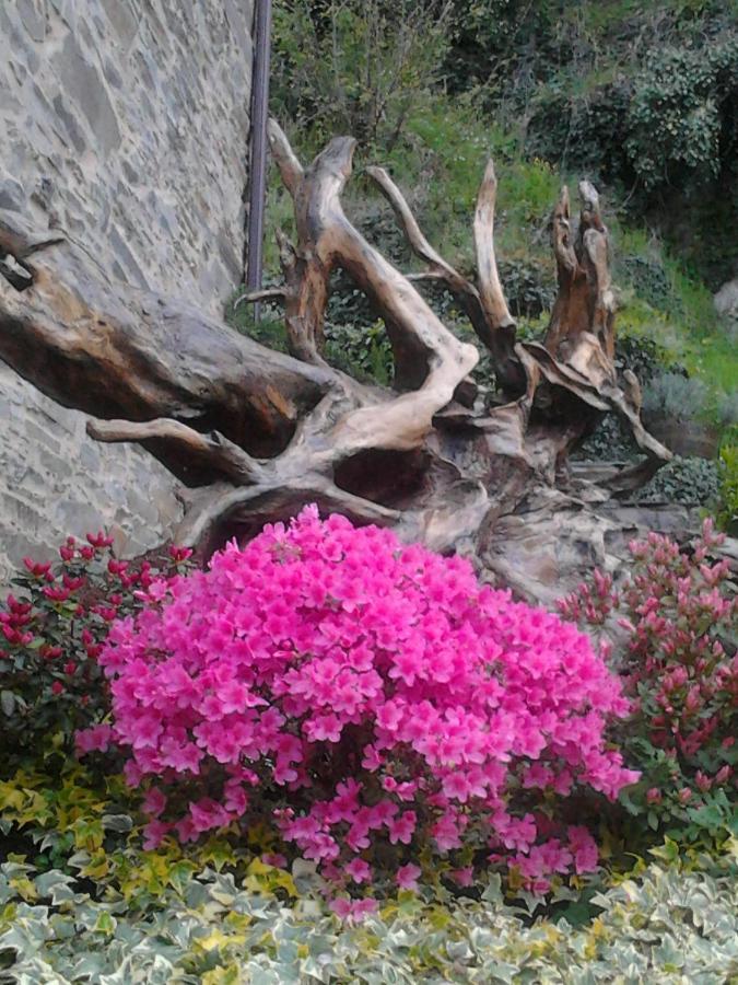 O Paxar Villa Samos Bagian luar foto