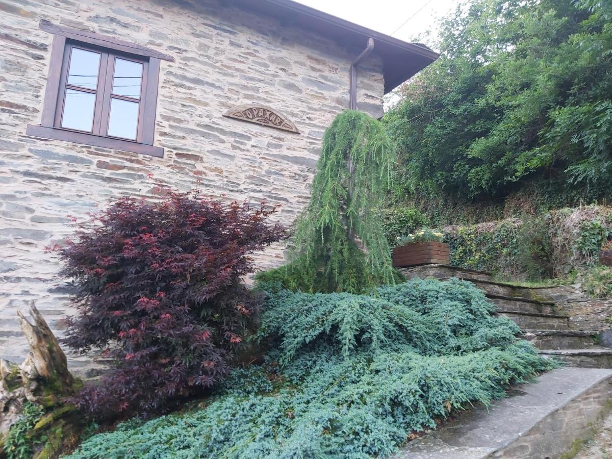 O Paxar Villa Samos Bagian luar foto