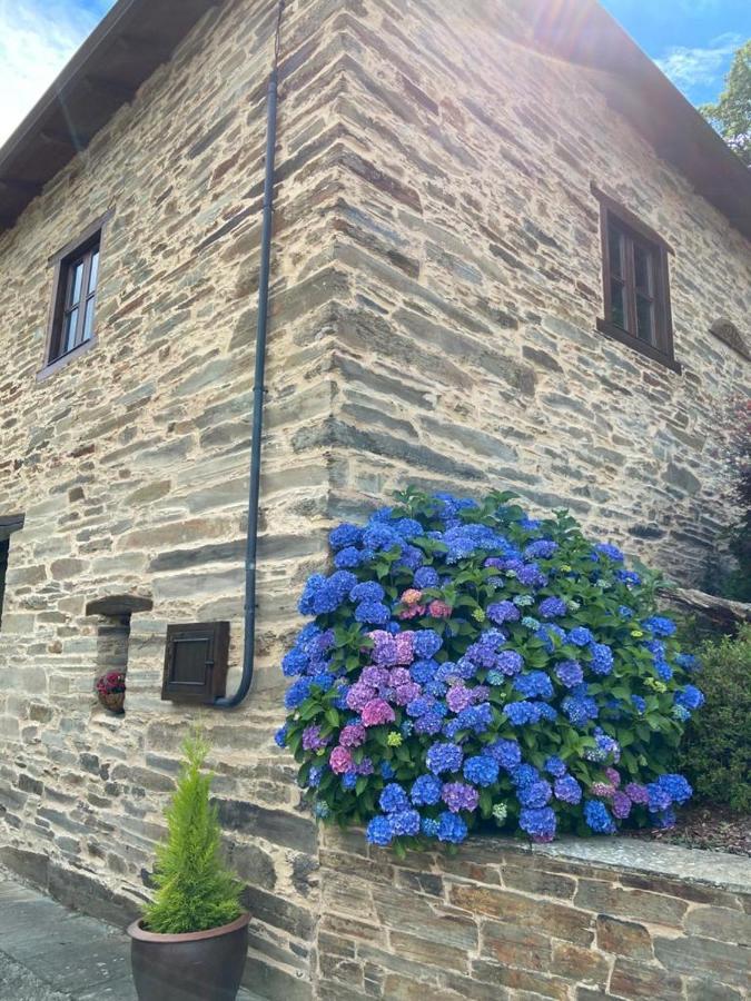 O Paxar Villa Samos Bagian luar foto